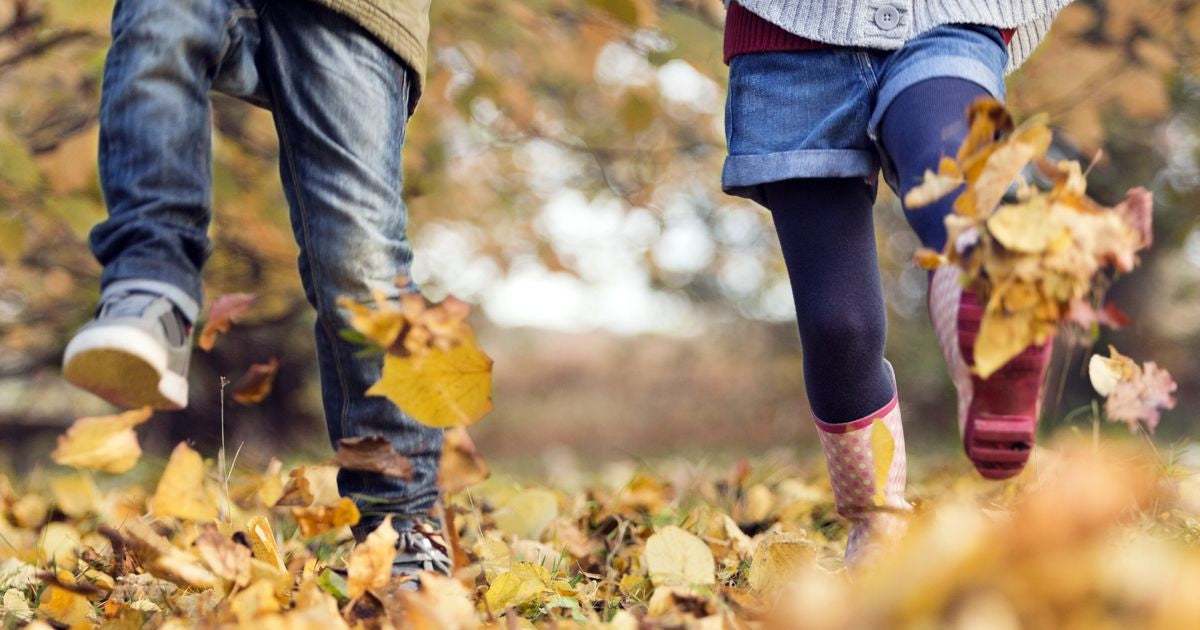 Autumn Collection
