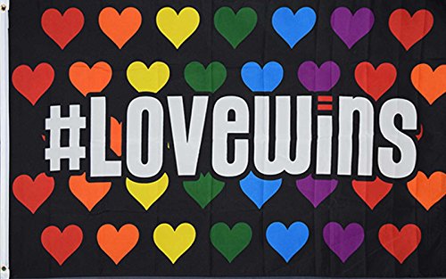 NEOPlex 3' x 5' Novelty Flag - #Love Wins