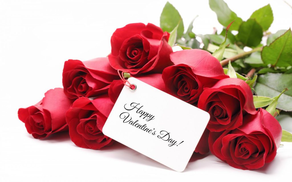 Fresh Flowers Delivery ๐น๐ธ๐ท๐น