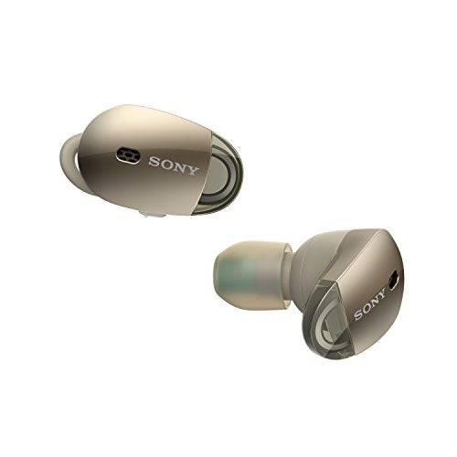 Sony WF1000X/N Earphones Headphone