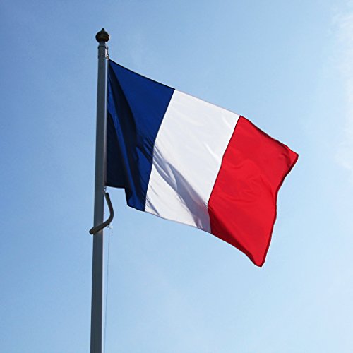 New 3x5 National Flag of France French Country Flags