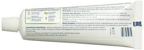 Tom's of Maine Simply White Fluoride-Free Natural Toothpaste, Peppermint, 85 mL