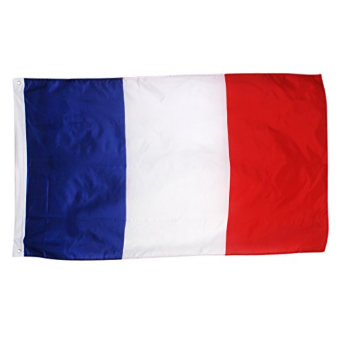 New 3x5 National Flag of France French Country Flags