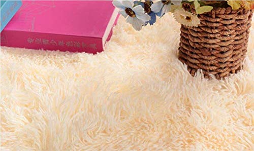 ACTCUT Super Soft Indoor Modern Shag Area Silky Smooth Rugs Fluffy Rugs Anti-Skid Shaggy Area Rug Dining Room Home Bedroom Carpet Floor Mat 5.3' x 7.3' (160cm X 200cm)
