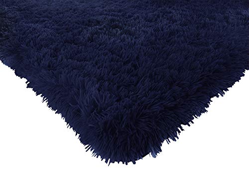 ACTCUT Super Soft Indoor Modern Shag Area Silky Smooth Rugs Fluffy Rugs Anti-Skid Shaggy Area Rug Dining Room Home Bedroom Carpet Floor Mat 5.3' x 7.3' (160cm X 200cm)