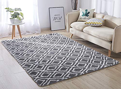 ACTCUT Super Soft Indoor Modern Shag Area Silky Smooth Rugs Fluffy Rugs Anti-Skid Shaggy Area Rug Dining Room Home Bedroom Carpet Floor Mat 5.3' x 7.3' (160cm X 200cm)