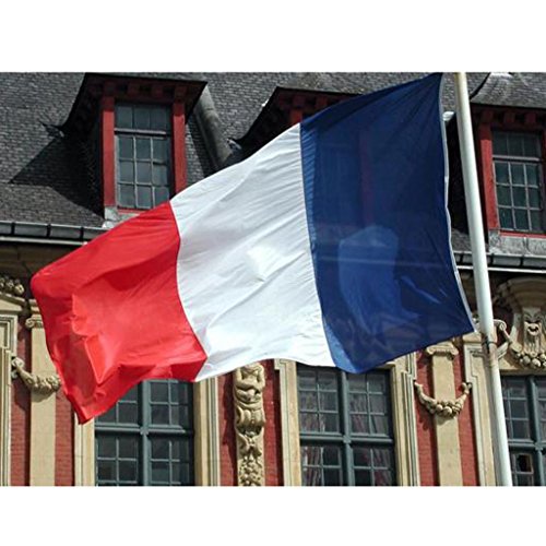 New 3x5 National Flag of France French Country Flags