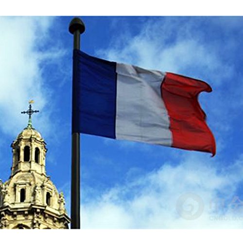 New 3x5 National Flag of France French Country Flags