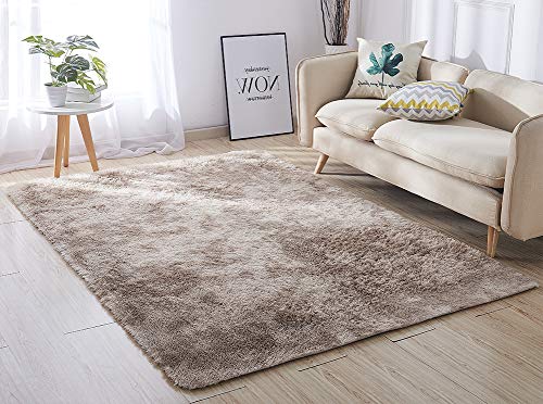 ACTCUT Super Soft Indoor Modern Shag Area Silky Smooth Rugs Fluffy Rugs Anti-Skid Shaggy Area Rug Dining Room Home Bedroom Carpet Floor Mat 5.3' x 7.3' (160cm X 200cm)