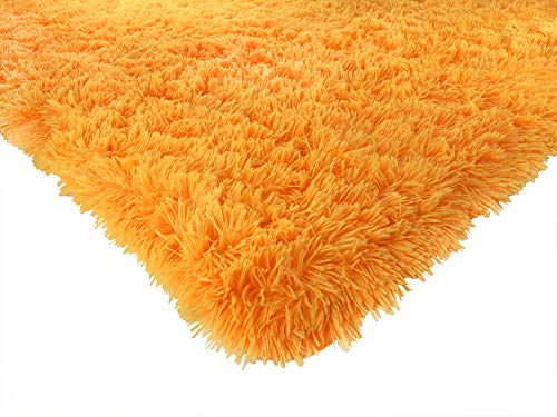 ACTCUT Super Soft Indoor Modern Shag Area Silky Smooth Rugs Fluffy Rugs Anti-Skid Shaggy Area Rug Dining Room Home Bedroom Carpet Floor Mat 5.3' x 7.3' (160cm X 200cm)