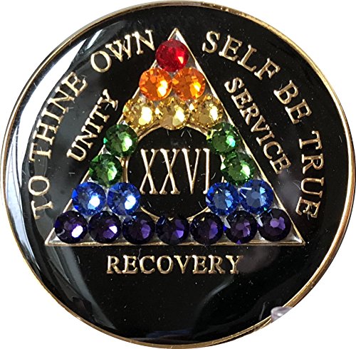 26 Year Black Rainbow Swarovski Crystal Tri-Plate AA Medallion Chip XXVI