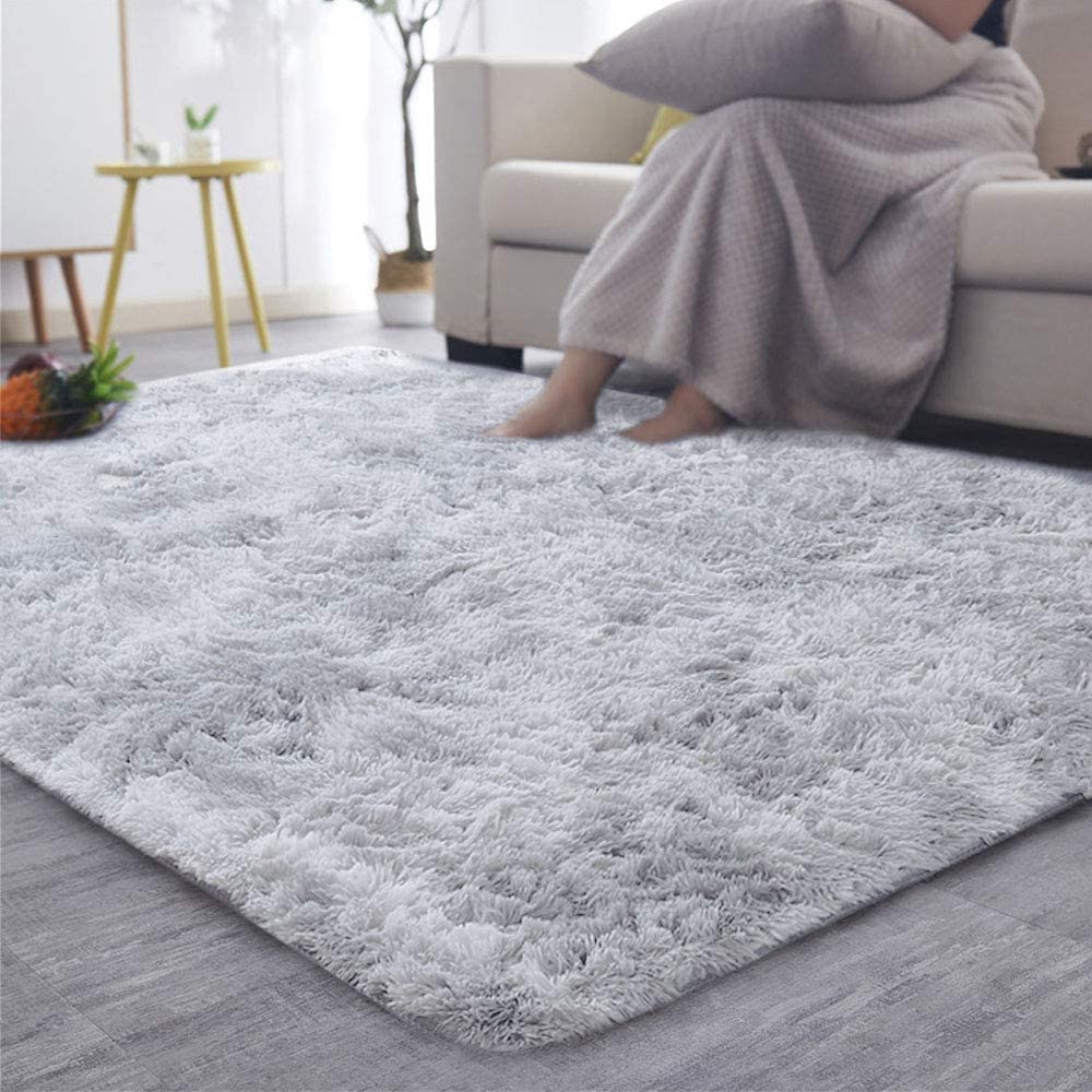 EVELTEK Ultra Soft Indoor Modern Area Rugs Fluffy Carpets Anti-Skid Shaggy Area Rug Floor Mat Suitable for Living Room Children Bedroom Home Decor Rugs 2.6 Feet by 4 Feet (Silver)