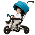 Baby Tricyle Bike Stroller